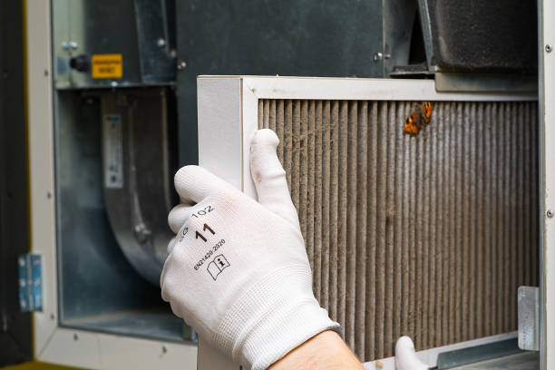 Best Home Air Vent Cleaning  in Spicer, MN