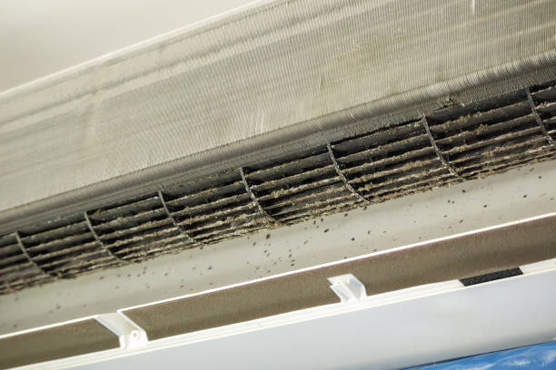Best Ventilation Cleaning Services  in Spicer, MN